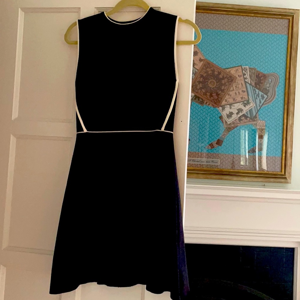 Like New Zara Knit Dress